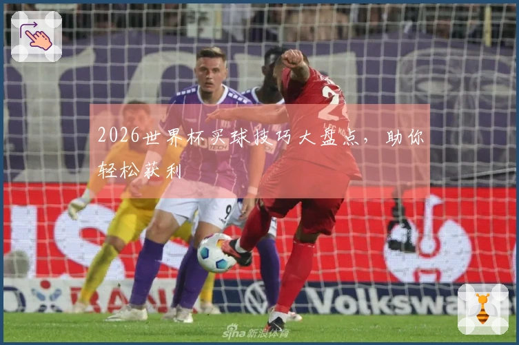 2026世界杯买球技巧大盘点，助你轻松获利