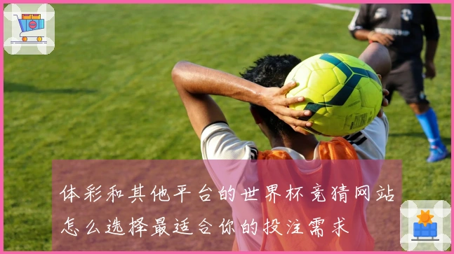 体彩和其他平台的世界杯竞猜网站怎么选择最适合你的投注需求