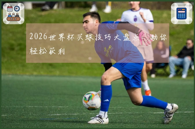 2026世界杯买球技巧大盘点，助你轻松获利