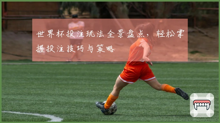 世界杯投注玩法全景盘点，轻松掌握投注技巧与策略